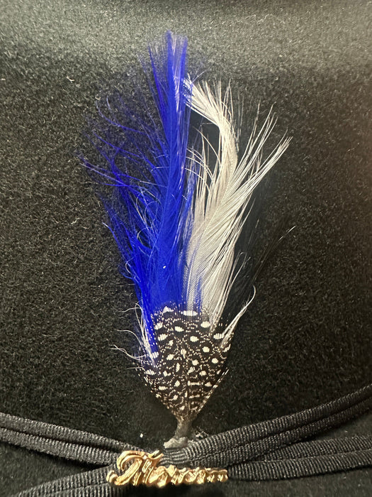 Blue Traditional Feather (Pack of Two)